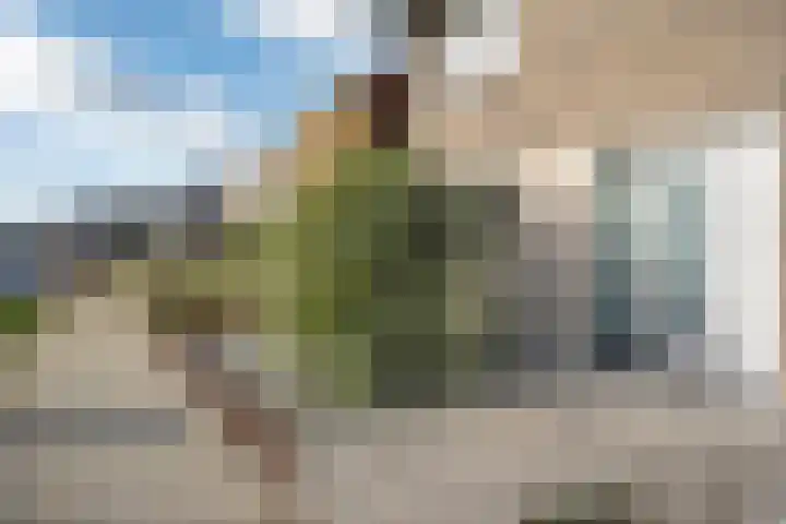 Boermarke 22 Ommen thumbnail 10