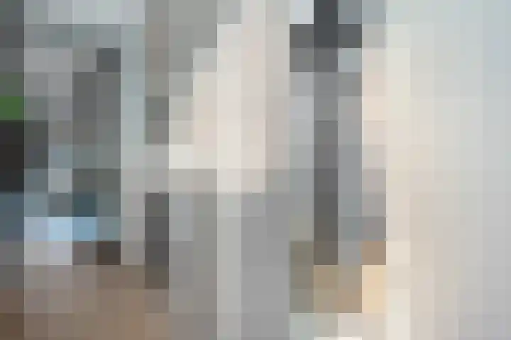 Boermarke 22 Ommen thumbnail 12