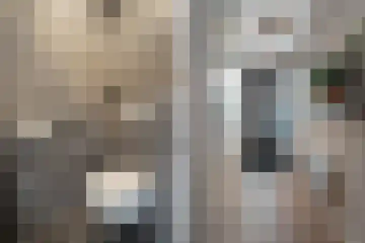 Boermarke 22 Ommen thumbnail 13