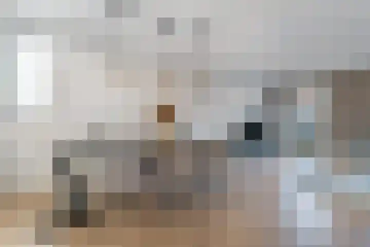 Boermarke 22 Ommen thumbnail 14