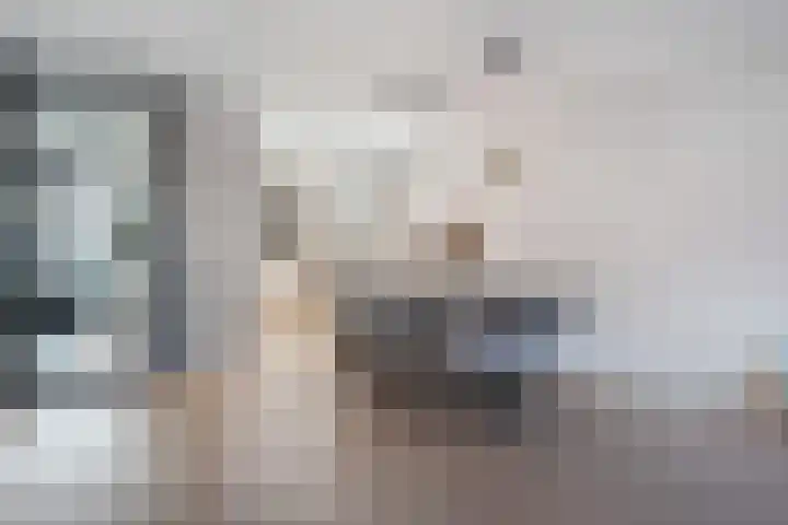 Boermarke 22 Ommen thumbnail 18
