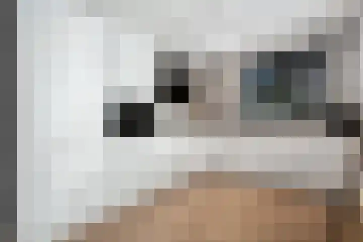 Boermarke 22 Ommen thumbnail 20