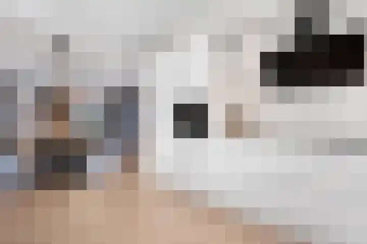 Boermarke 22 Ommen thumbnail 21