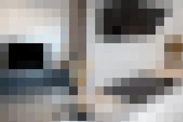 Boermarke 22 Ommen thumbnail 22