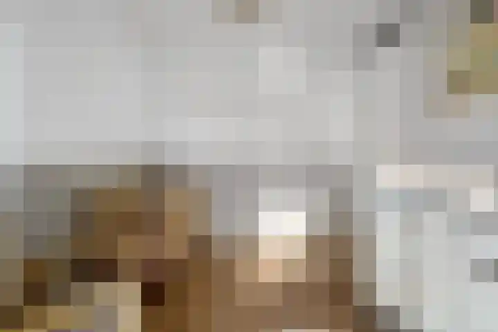 Boermarke 22 Ommen thumbnail 28