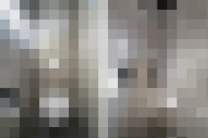 Boermarke 22 Ommen thumbnail 33
