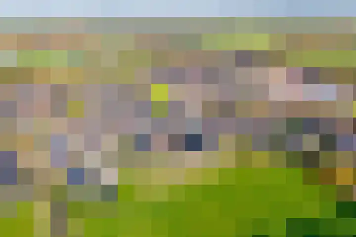 Boermarke 22 Ommen thumbnail 4