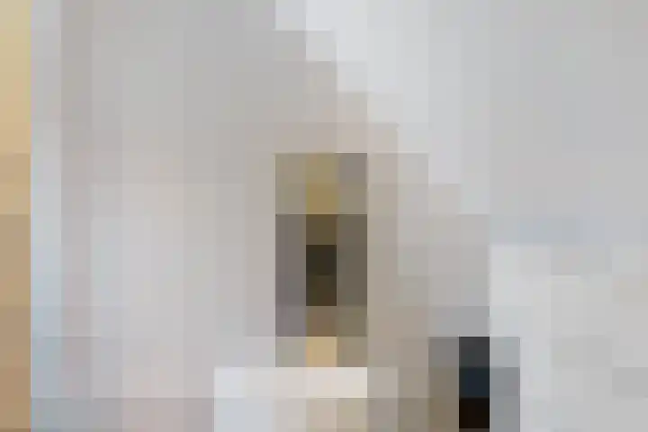 Boermarke 22 Ommen thumbnail 40