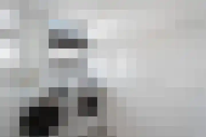 Boermarke 22 Ommen thumbnail 41