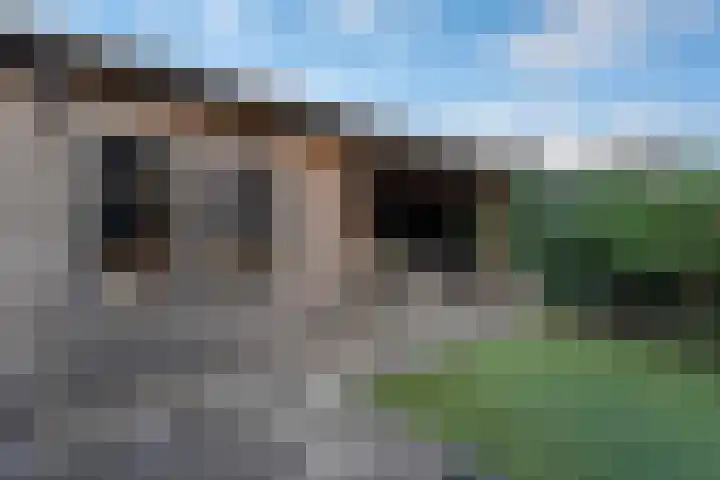 Boermarke 22 Ommen thumbnail 45