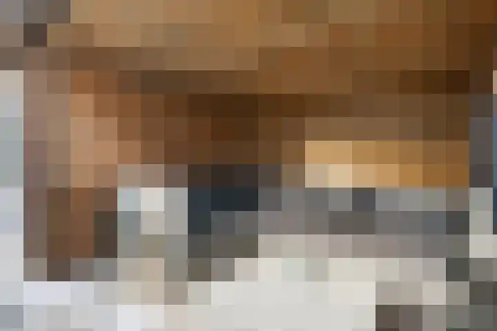Boermarke 22 Ommen thumbnail 46
