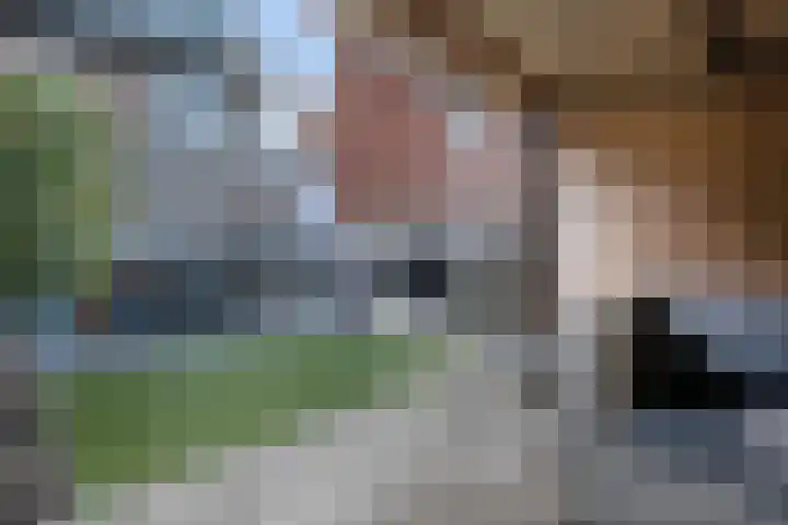 Boermarke 22 Ommen thumbnail 47