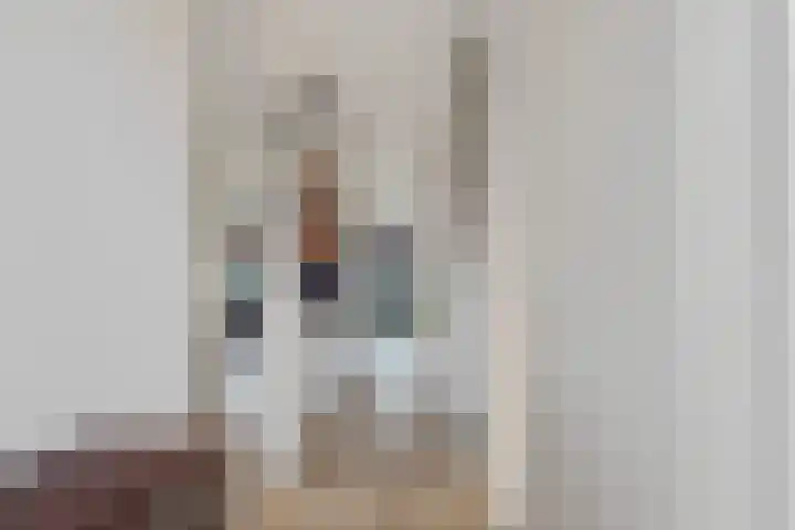 Boermarke 32 Ommen thumbnail 4