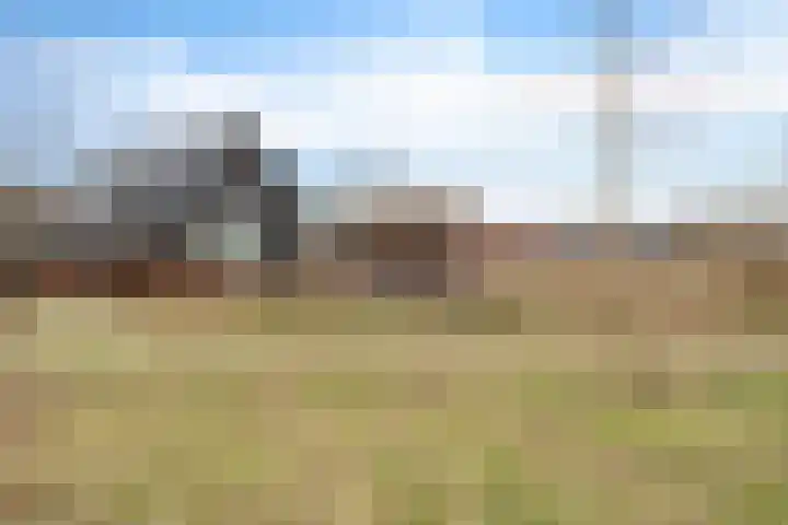 Boermarke 32 Ommen thumbnail 61