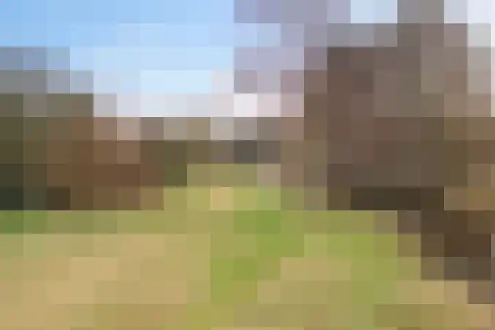 Boermarke 32 Ommen thumbnail 65