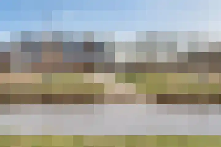 Boermarke 32 Ommen thumbnail 68