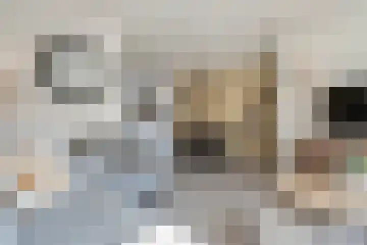 Boermarke 36 Vries thumbnail 10