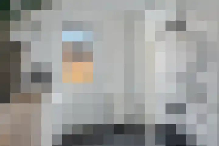 Boermarke 36 Vries thumbnail 19
