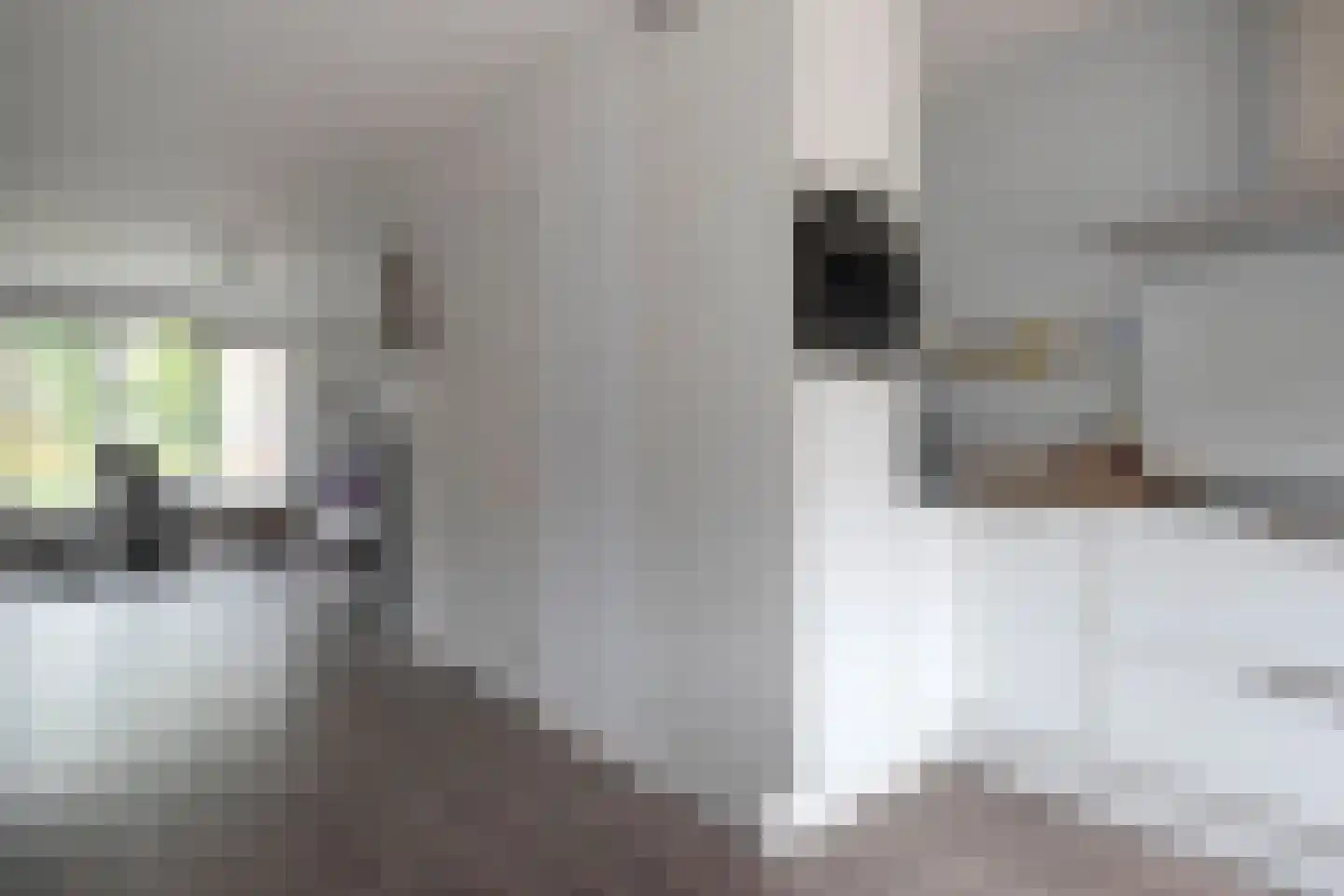 Boermarke 49 Vries thumbnail 20