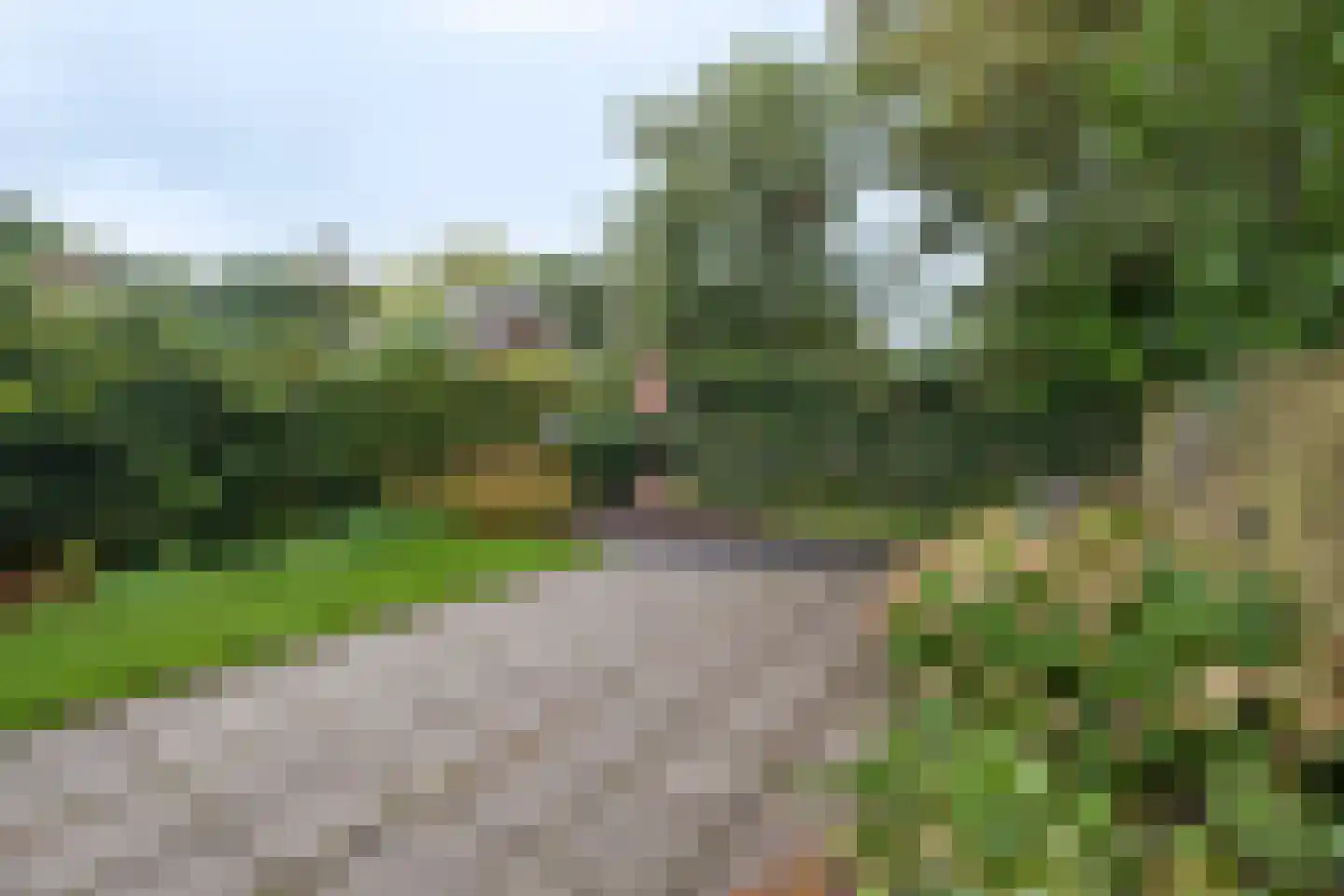 Boermarke 49 Vries thumbnail 38