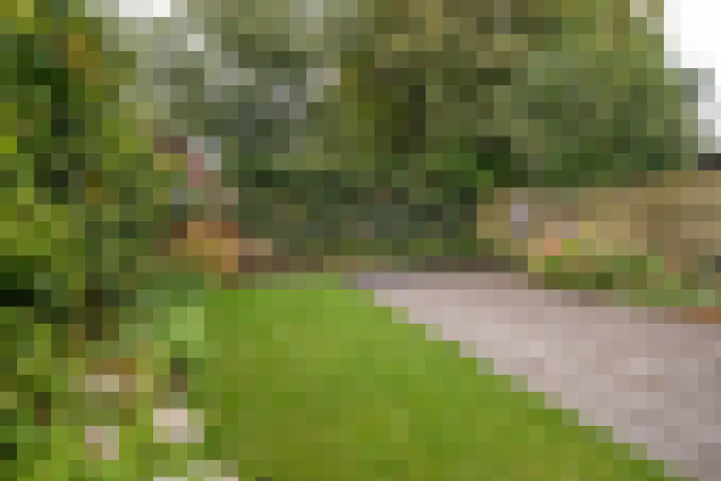 Boermarke 49 Vries thumbnail 40