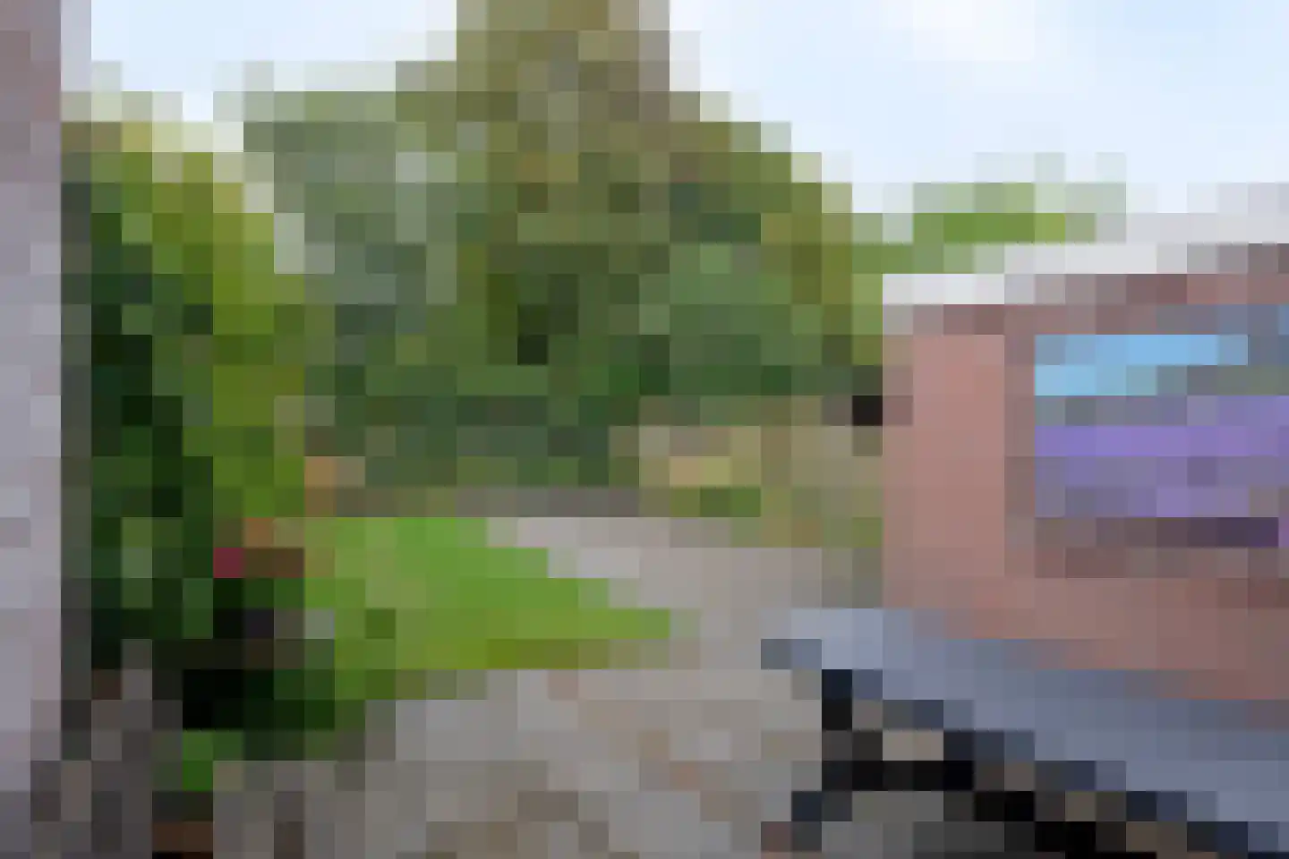 Boermarke 49 Vries thumbnail 5