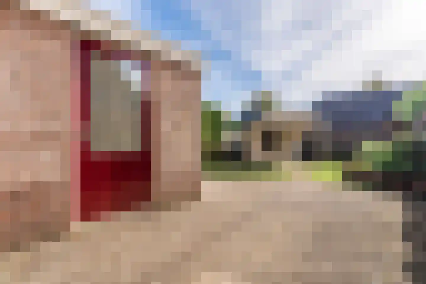 Boermarke 81 Vlagtwedde thumbnail 10