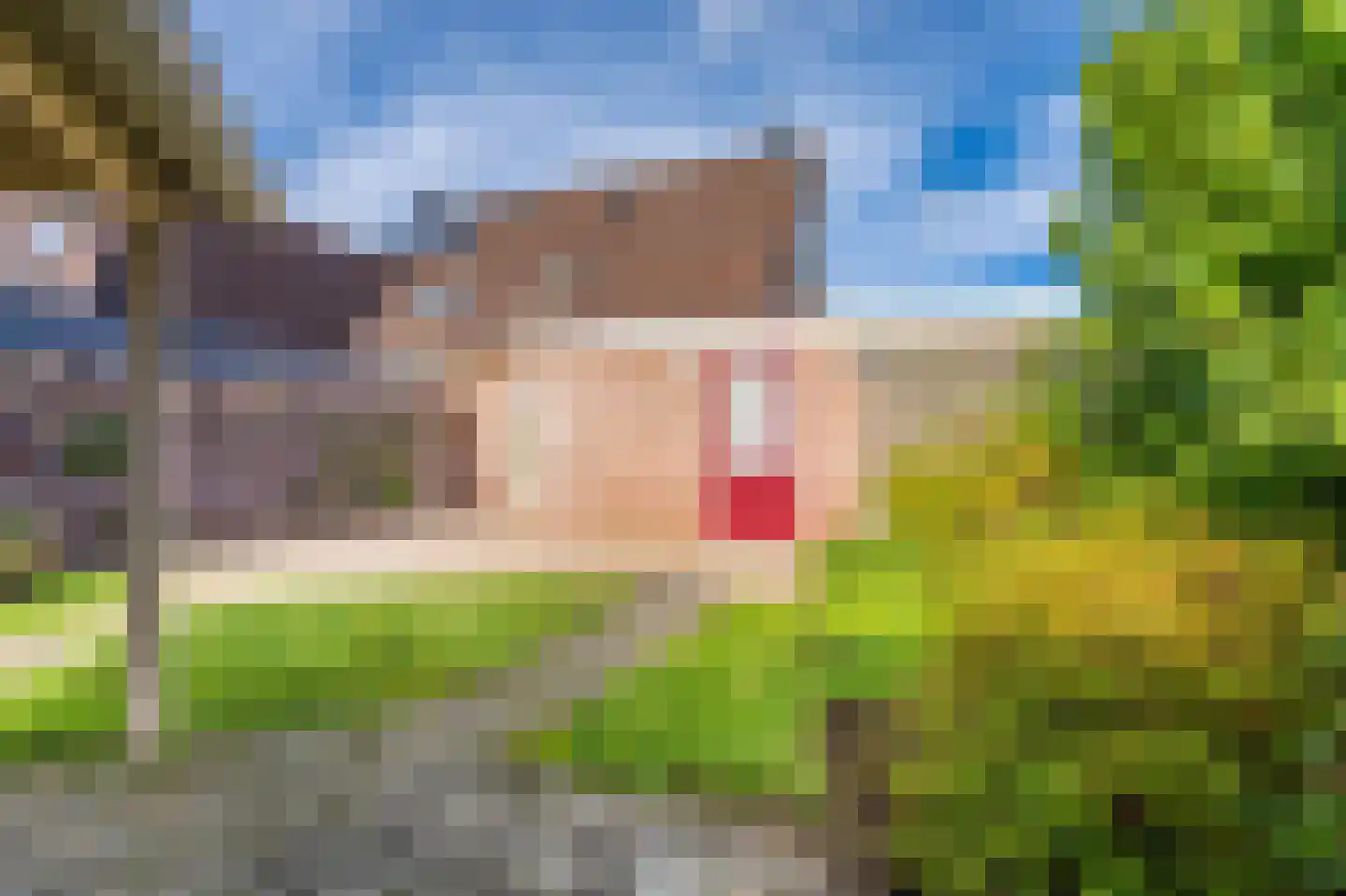Boermarke 81 Vlagtwedde thumbnail 11