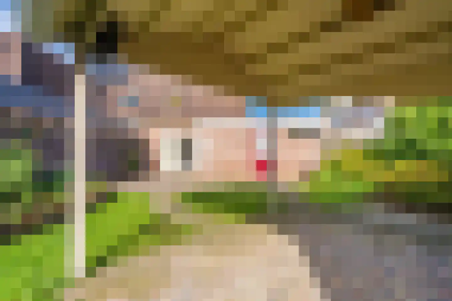 Boermarke 81 Vlagtwedde thumbnail 13