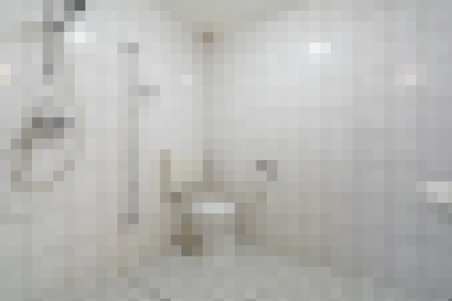 Boermarke 81 Vlagtwedde thumbnail 37