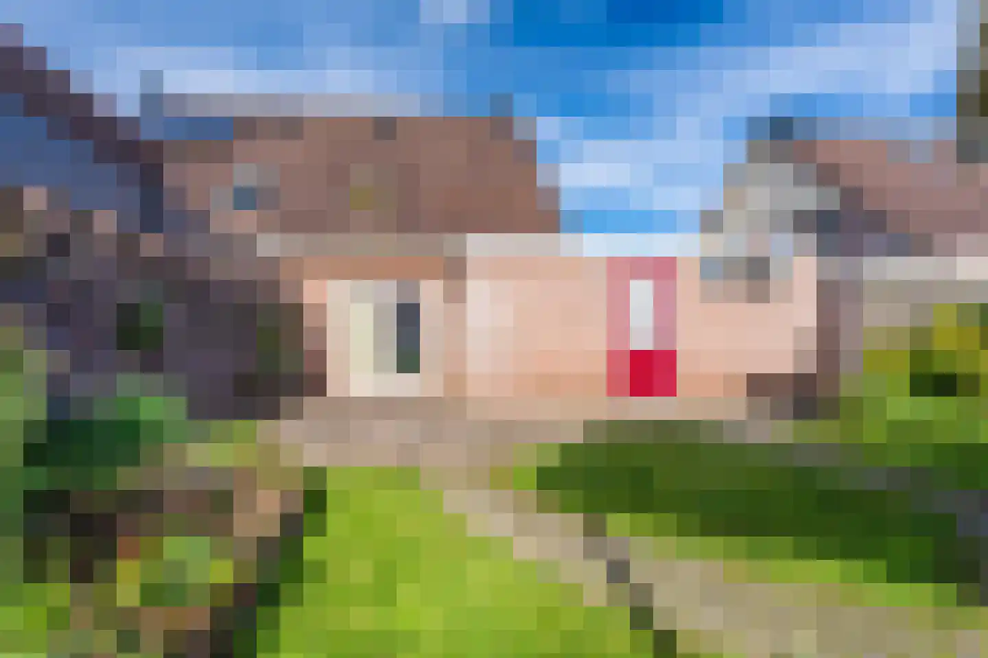 Boermarke 81 Vlagtwedde thumbnail 6