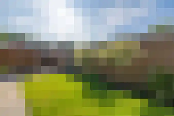 Boermarkeweg 1 Exloo thumbnail 31