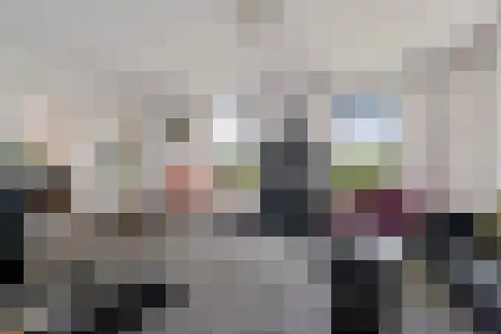 Boermastreek 20 Exloërveen thumbnail 14