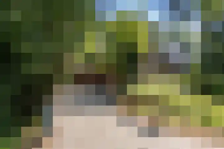 Boermastreek 20 Exloërveen thumbnail 36