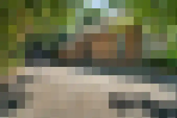 Boermastreek 20 Exloërveen thumbnail 37