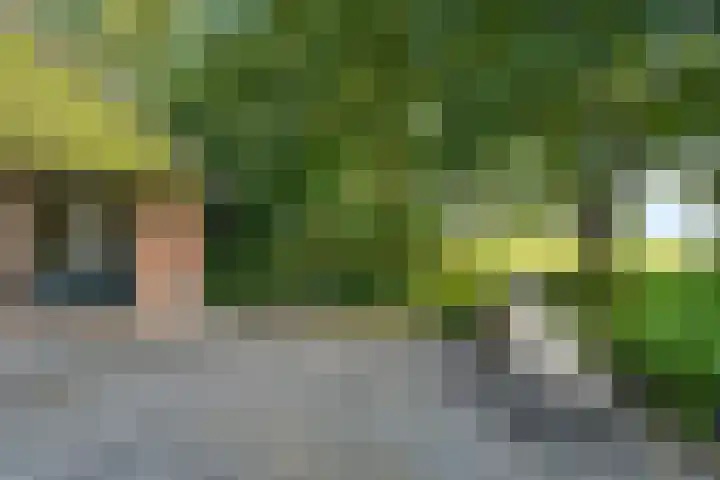 Boermastreek 20 Exloërveen thumbnail 43