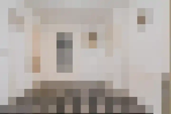 Boermastreek 20 Exloërveen thumbnail 5