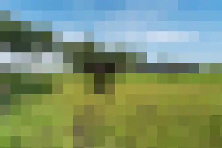 Boermastreek 20 Exloërveen thumbnail 50
