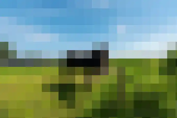 Boermastreek 20 Exloërveen thumbnail 51