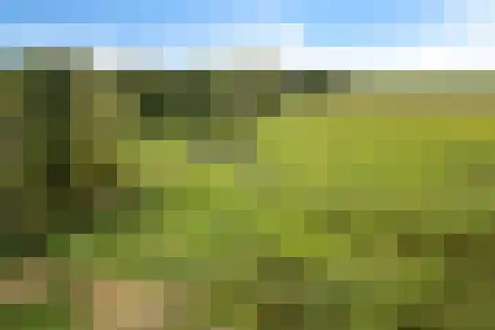 Boermastreek 20 Exloërveen thumbnail 55