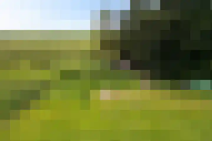 Boermastreek 20 Exloërveen thumbnail 59