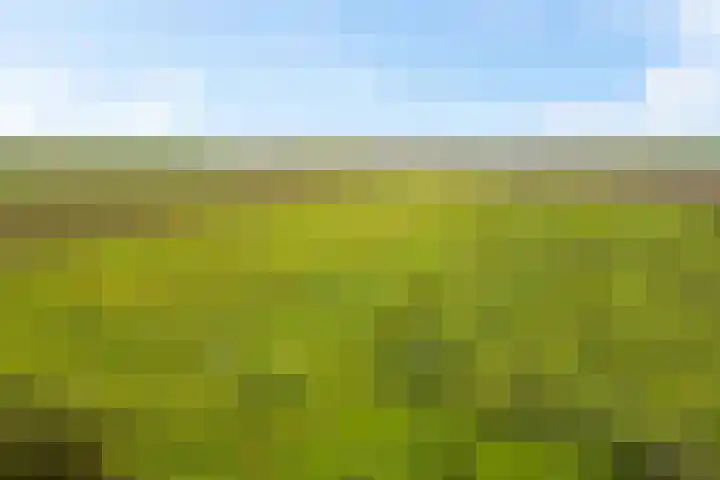 Boermastreek 20 Exloërveen thumbnail 62