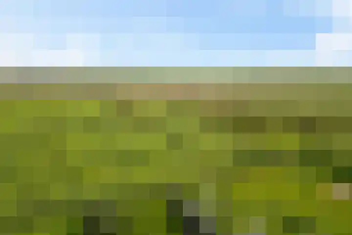 Boermastreek 20 Exloërveen thumbnail 63