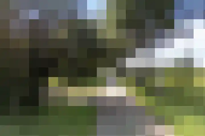 Boermastreek 20 Exloërveen thumbnail 65