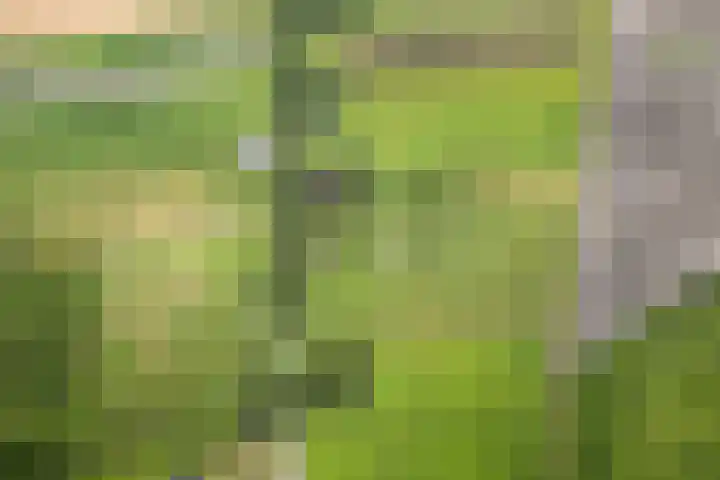 Boermastreek 20 Exloërveen thumbnail 69