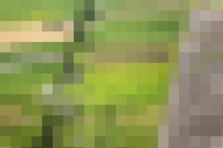 Boermastreek 20 Exloërveen thumbnail 72
