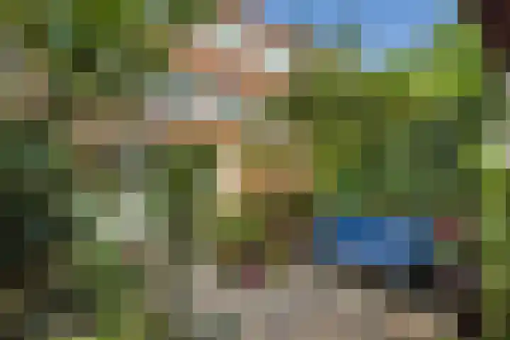 Boeroehof 12 Utrecht thumbnail 10