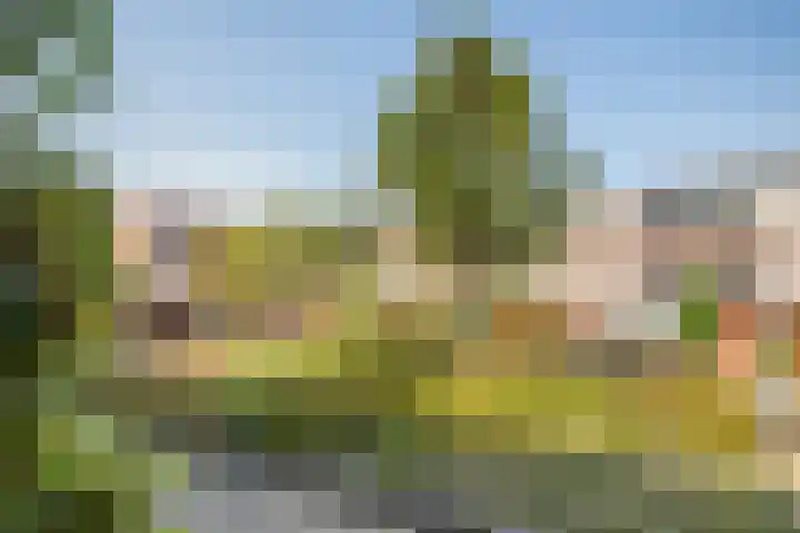 Boeroehof 12 Utrecht thumbnail 19