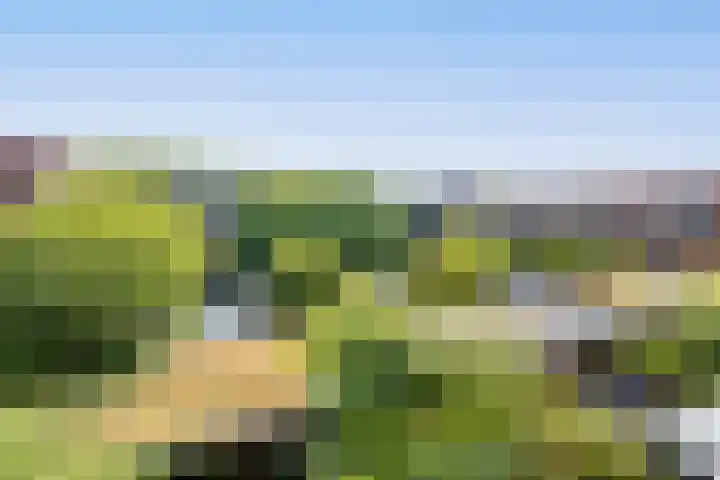 Boeroehof 12 Utrecht thumbnail 26