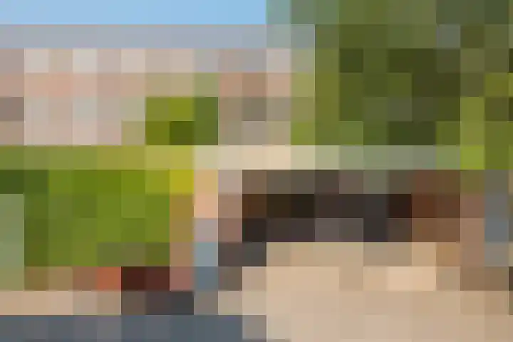 Boeroehof 12 Utrecht thumbnail 37